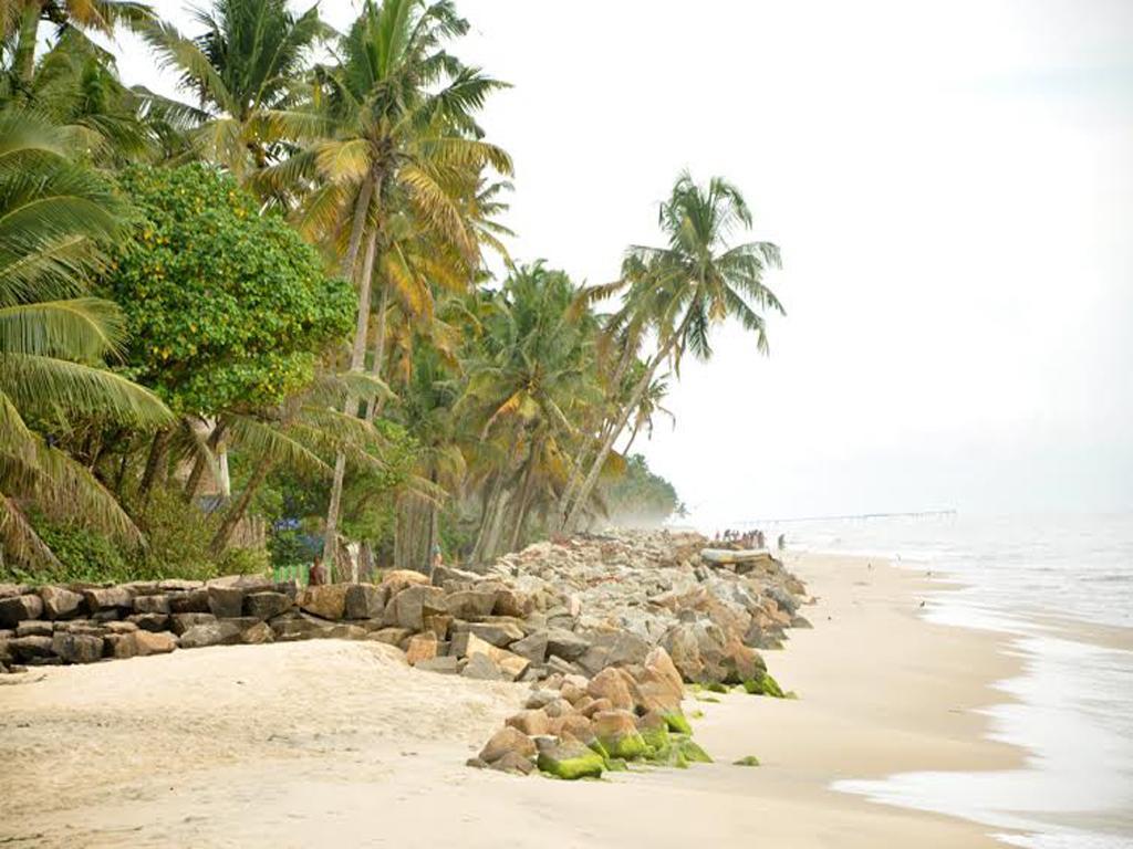 Angeo Beach House Alappuzha Phòng bức ảnh