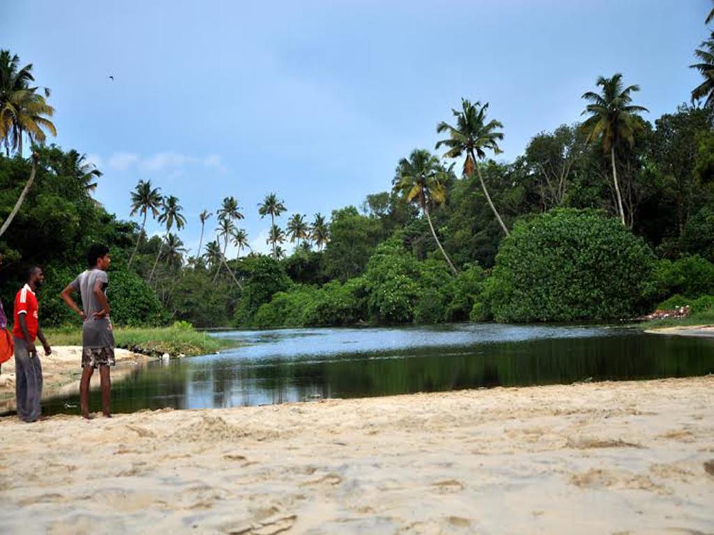 Angeo Beach House Alappuzha Phòng bức ảnh