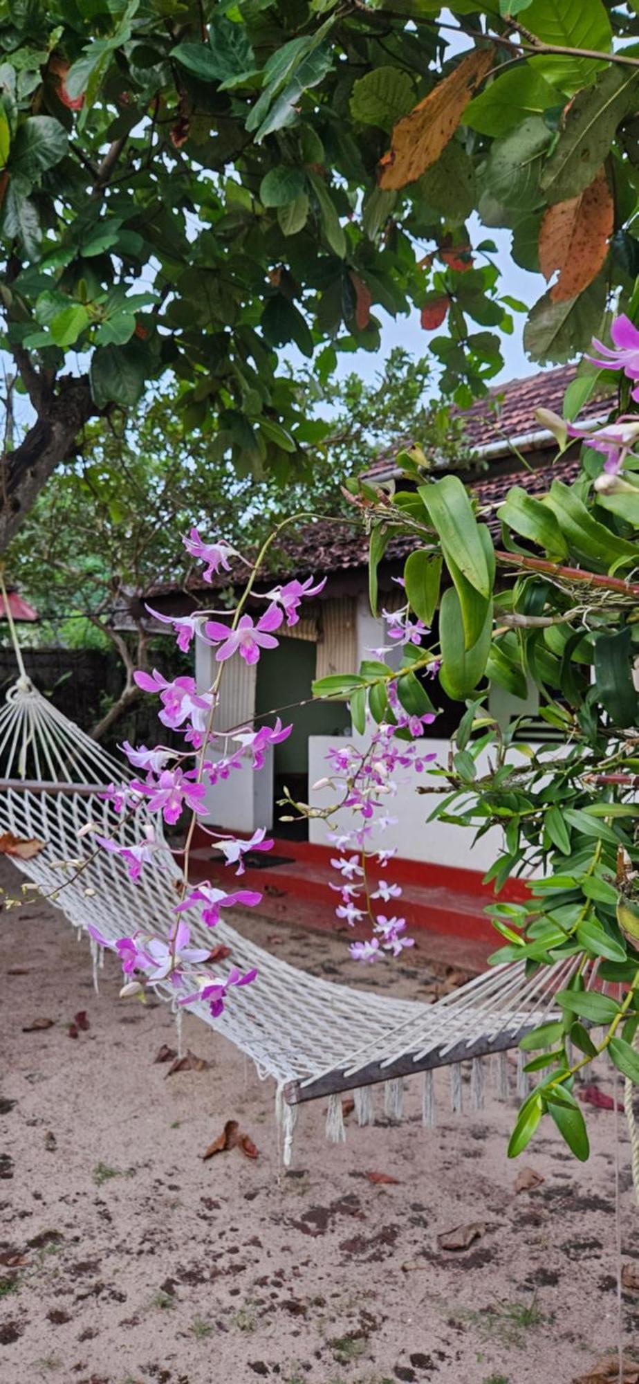 Angeo Beach House Alappuzha Ngoại thất bức ảnh